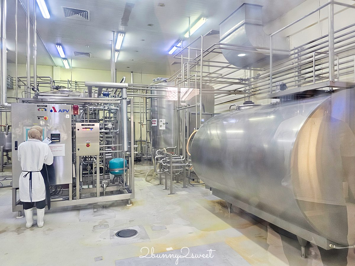沙巴景點【德薩乳牛牧場 Desa Cattle Dairy Farm】神山必訪小紐西蘭，餵牛牛、吃冰淇淋 @兔兒毛毛姊妹花