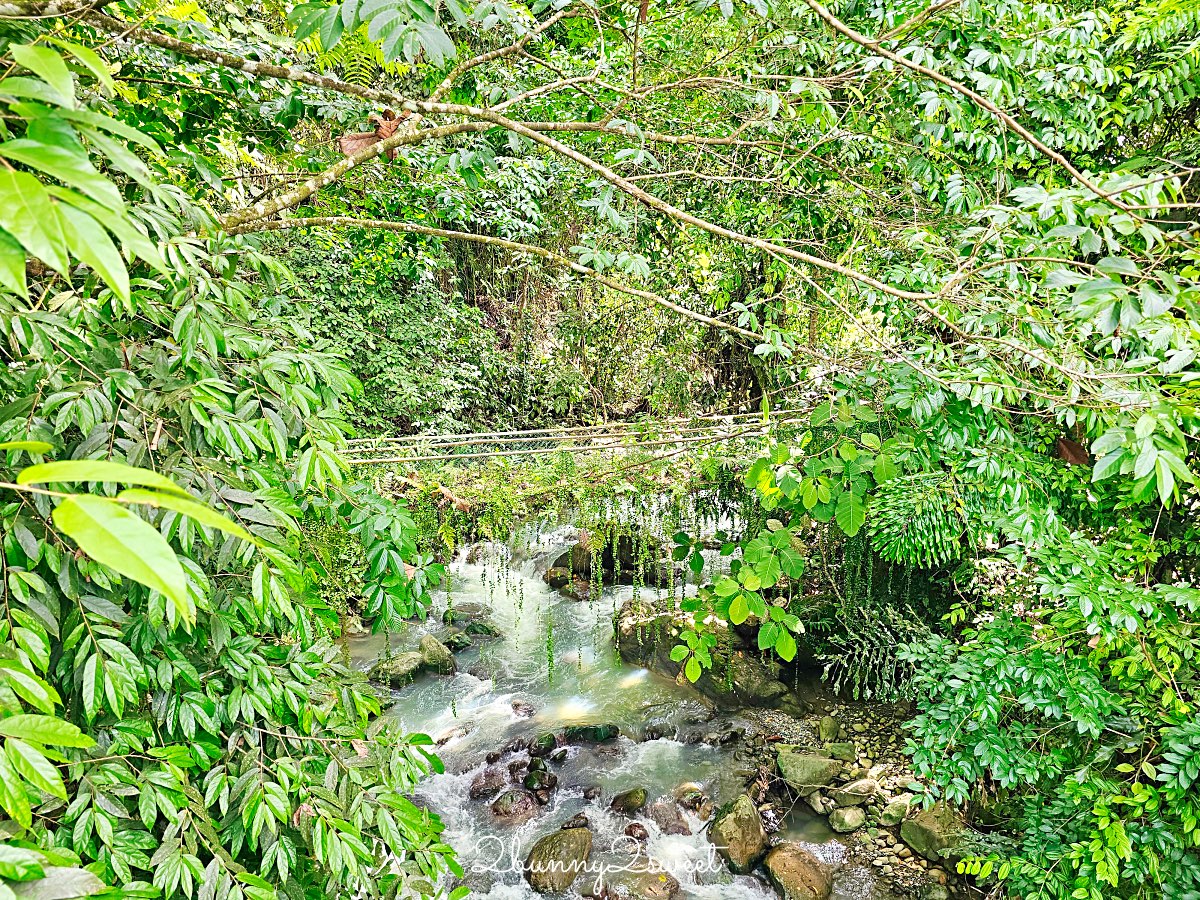 沙巴景點【波令溫泉 Poring Hot Spring】樹冠步道～從13層樓高樹頂吊橋看熱帶雨林 @兔兒毛毛姊妹花