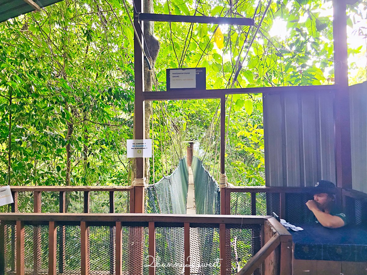 沙巴景點【波令溫泉 Poring Hot Spring】樹冠步道～從13層樓高樹頂吊橋看熱帶雨林 @兔兒毛毛姊妹花
