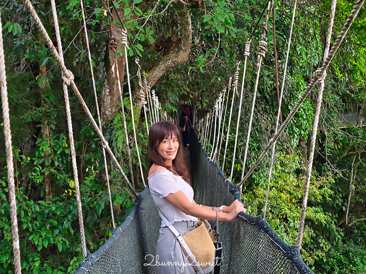 沙巴景點【波令溫泉 Poring Hot Spring】樹冠步道～從13層樓高樹頂吊橋看熱帶雨林 @兔兒毛毛姊妹花