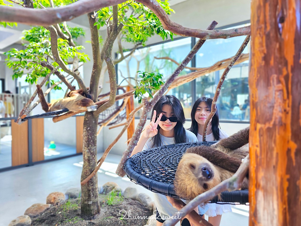 宜蘭三星景點【樹懶餐廳】張美阿嬤2.0萌寵樂園～乾淨整潔宜蘭動物農場，免費跟樹懶拍照 @兔兒毛毛姊妹花