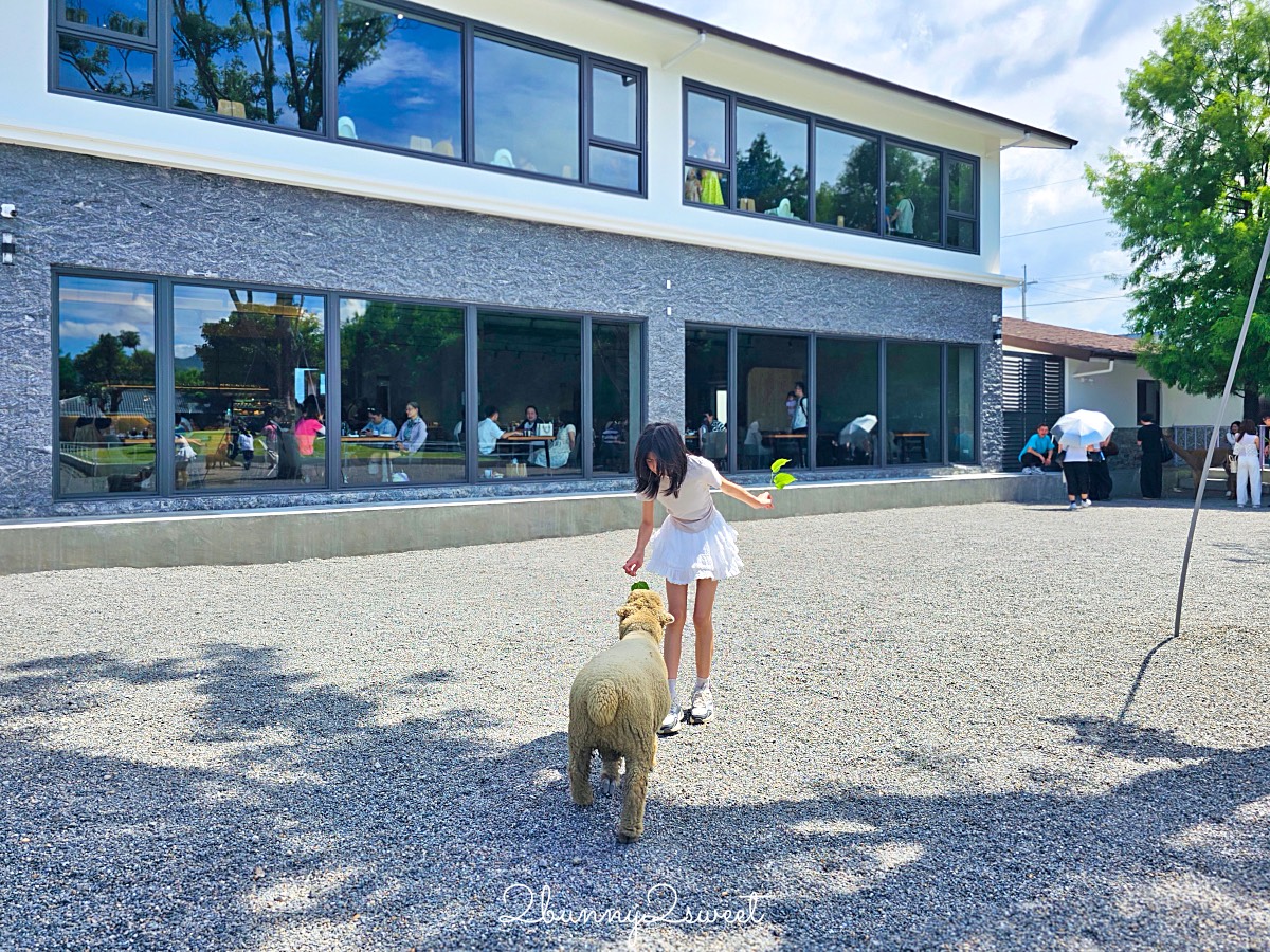宜蘭三星景點【樹懶餐廳】張美阿嬤2.0萌寵樂園～乾淨整潔宜蘭動物農場，免費跟樹懶拍照 @兔兒毛毛姊妹花