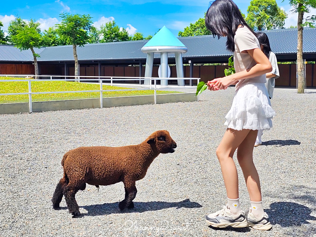宜蘭三星景點【樹懶餐廳】張美阿嬤2.0萌寵樂園～乾淨整潔宜蘭動物農場，免費跟樹懶拍照 @兔兒毛毛姊妹花