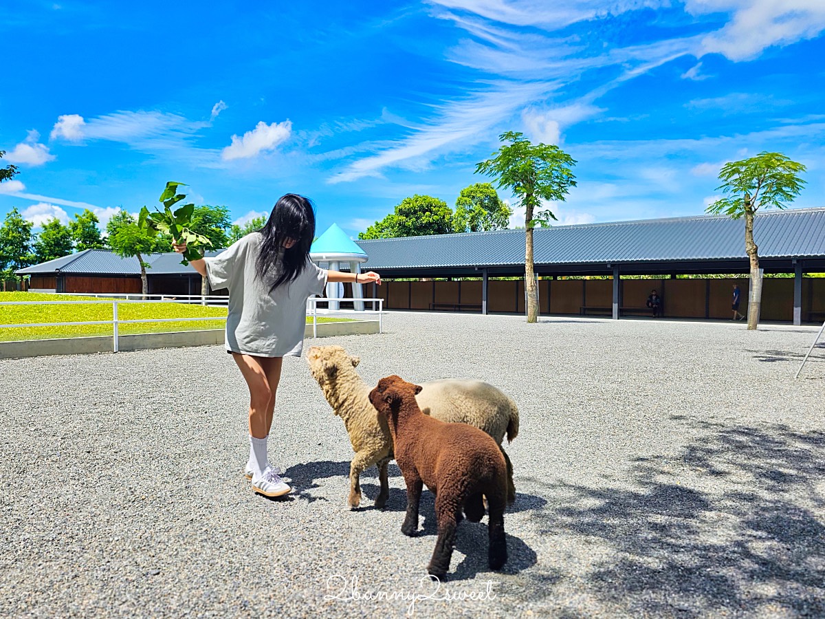 宜蘭三星景點【樹懶餐廳】張美阿嬤2.0萌寵樂園～乾淨整潔宜蘭動物農場，免費跟樹懶拍照 @兔兒毛毛姊妹花