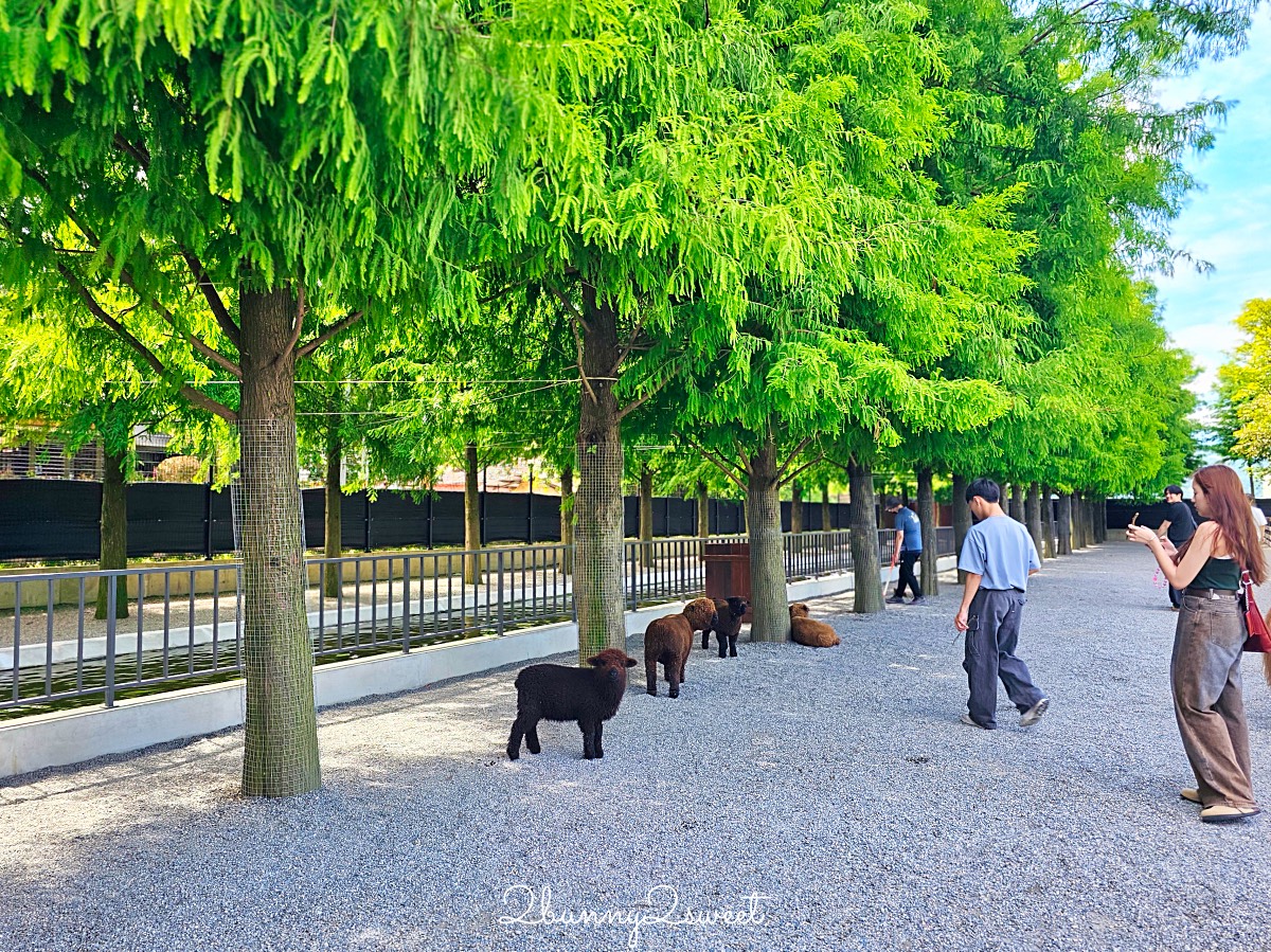 宜蘭三星景點【樹懶餐廳】張美阿嬤2.0萌寵樂園～乾淨整潔宜蘭動物農場，免費跟樹懶拍照 @兔兒毛毛姊妹花