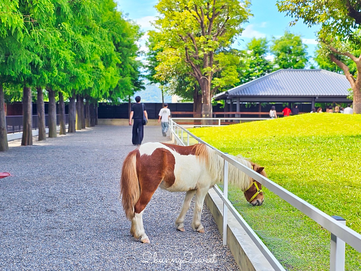 宜蘭三星景點【樹懶餐廳】張美阿嬤2.0萌寵樂園～乾淨整潔宜蘭動物農場，免費跟樹懶拍照 @兔兒毛毛姊妹花