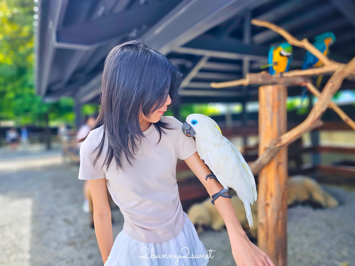 宜蘭三星景點【樹懶餐廳】張美阿嬤2.0萌寵樂園～乾淨整潔宜蘭動物農場，免費跟樹懶拍照 @兔兒毛毛姊妹花