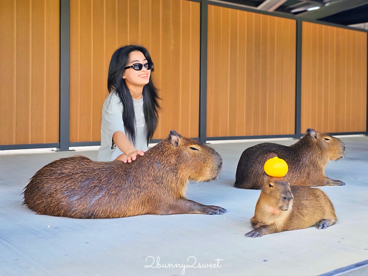 宜蘭三星景點【樹懶餐廳】張美阿嬤2.0萌寵樂園～乾淨整潔宜蘭動物農場，免費跟樹懶拍照 @兔兒毛毛姊妹花