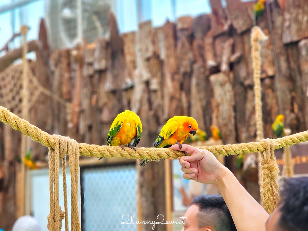 宜蘭景點【蘭陽動植物王國】超越動物園的宜蘭動物農場!! 室內吹冷氣餵動物有夠爽 @兔兒毛毛姊妹花