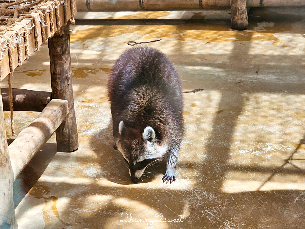 宜蘭景點【蘭陽動植物王國】超越動物園的宜蘭動物農場!! 室內吹冷氣餵動物有夠爽 @兔兒毛毛姊妹花