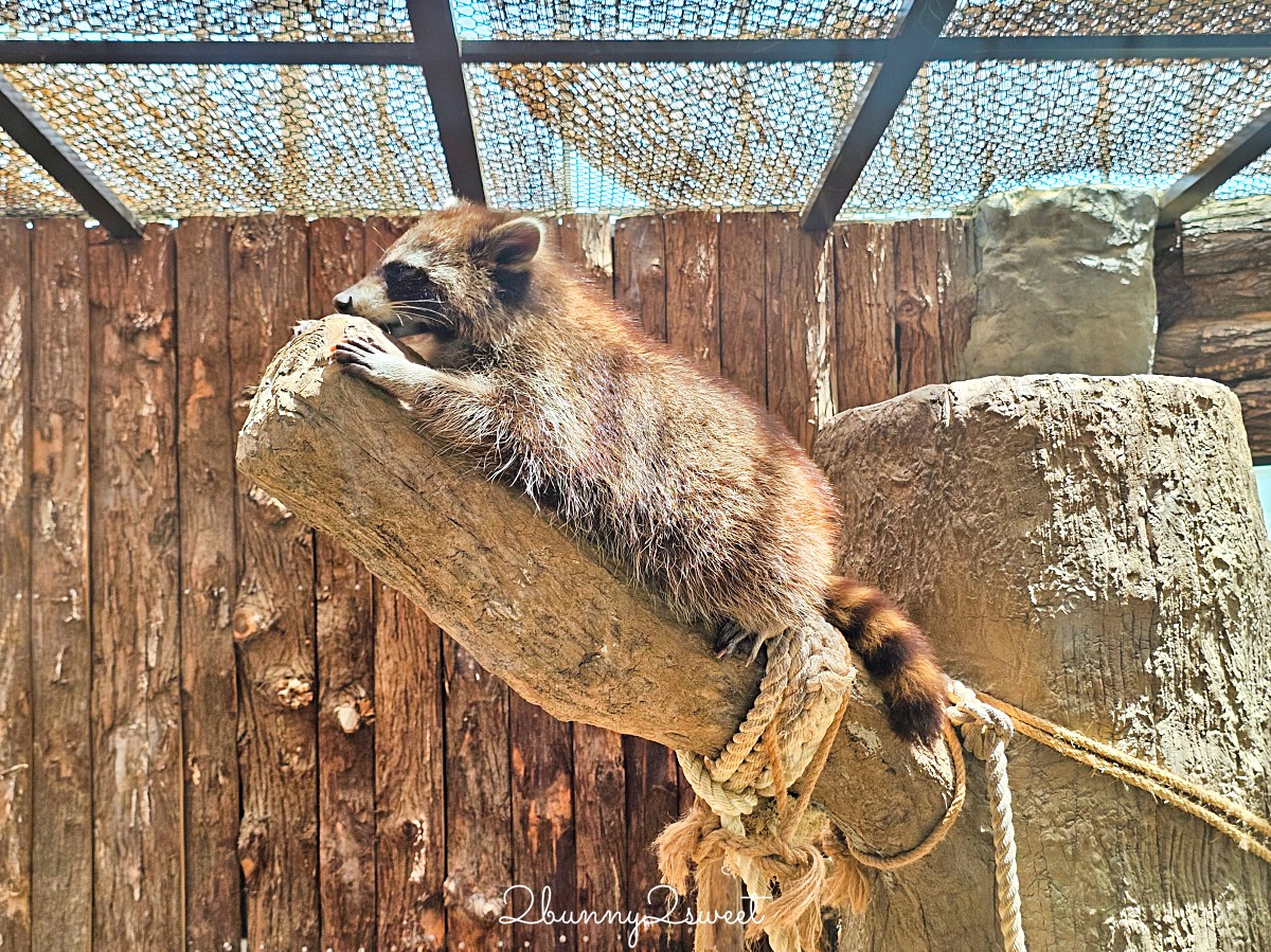 宜蘭景點【蘭陽動植物王國】超越動物園的宜蘭動物農場!! 室內吹冷氣餵動物有夠爽 @兔兒毛毛姊妹花