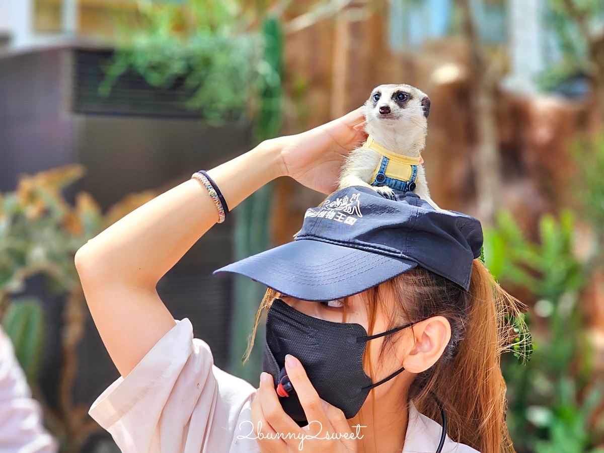 宜蘭景點【蘭陽動植物王國】超越動物園的宜蘭動物農場!! 室內吹冷氣餵動物有夠爽 @兔兒毛毛姊妹花