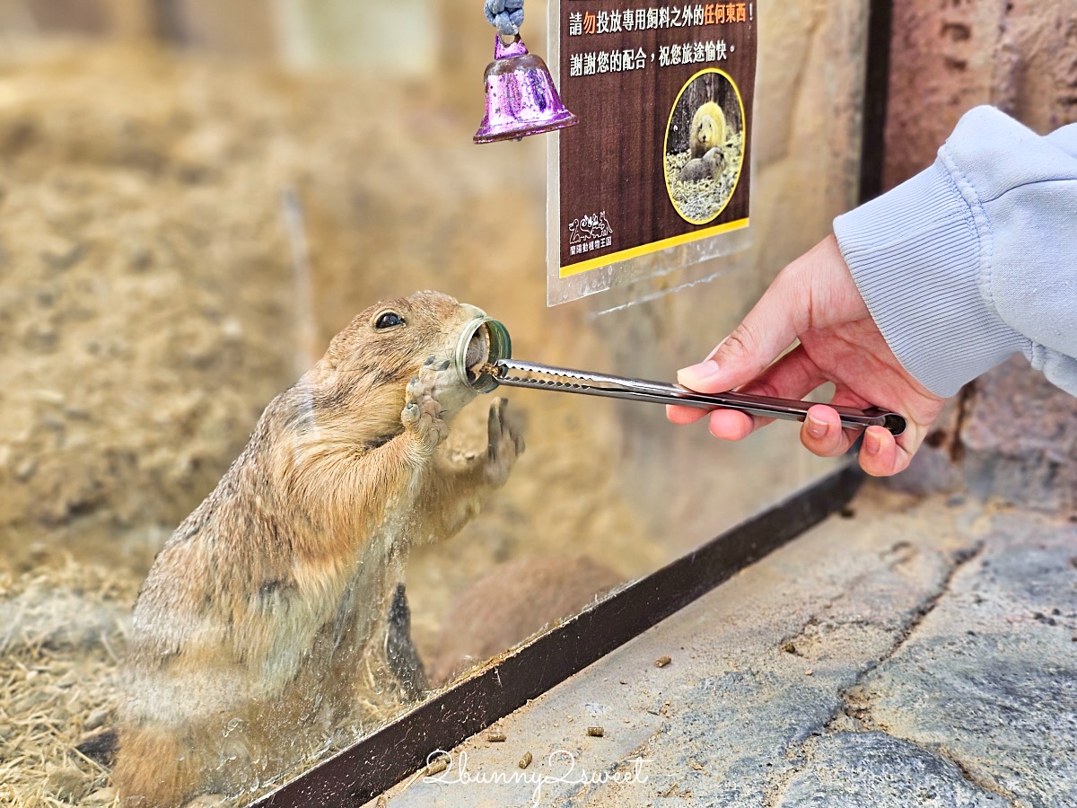 宜蘭景點【蘭陽動植物王國】超越動物園的宜蘭動物農場!! 室內吹冷氣餵動物有夠爽 @兔兒毛毛姊妹花
