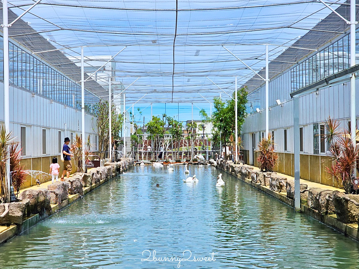宜蘭景點【蘭陽動植物王國】超越動物園的宜蘭動物農場!! 室內吹冷氣餵動物有夠爽 @兔兒毛毛姊妹花