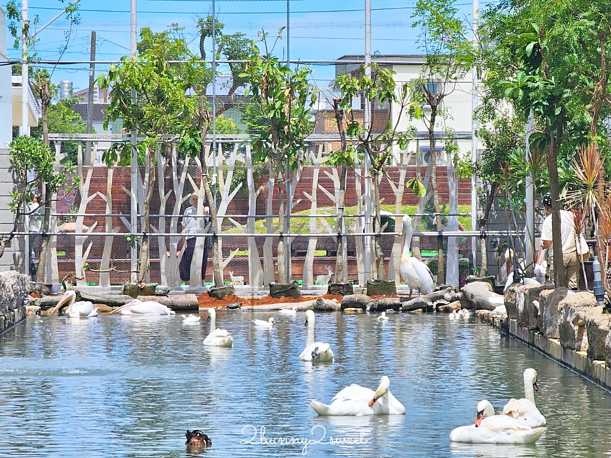 宜蘭景點【蘭陽動植物王國】超越動物園的宜蘭動物農場!! 室內吹冷氣餵動物有夠爽 @兔兒毛毛姊妹花