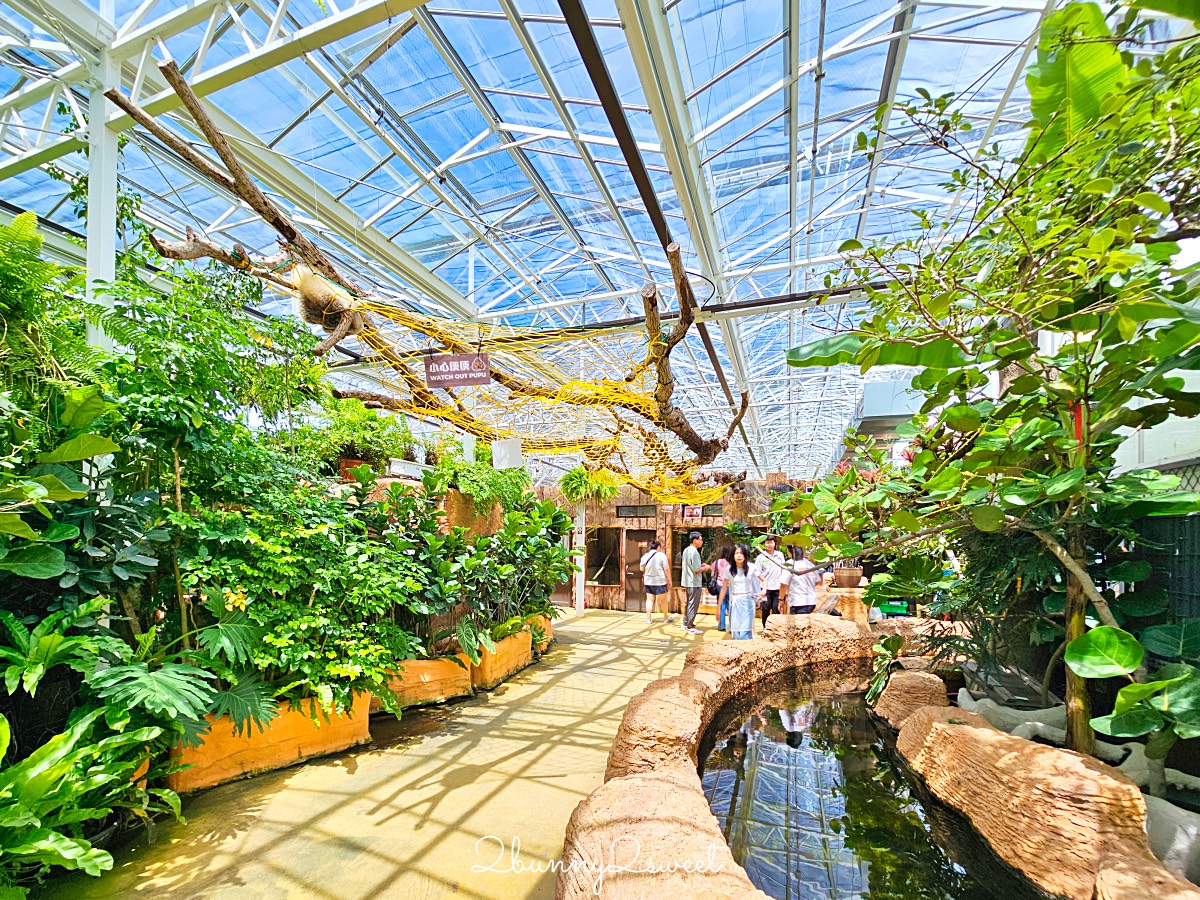 宜蘭景點【蘭陽動植物王國】超越動物園的宜蘭動物農場!! 室內吹冷氣餵動物有夠爽 @兔兒毛毛姊妹花