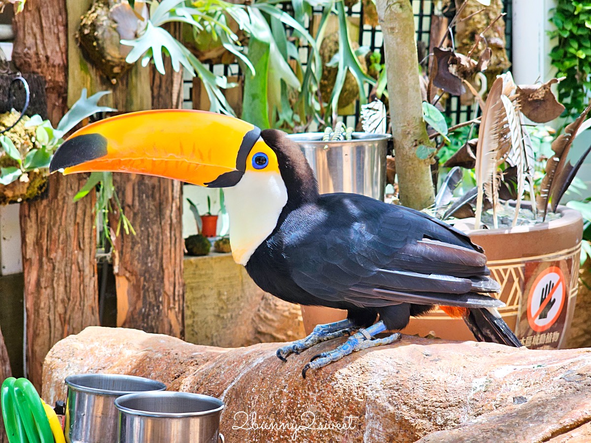 宜蘭景點【蘭陽動植物王國】超越動物園的宜蘭動物農場!! 室內吹冷氣餵動物有夠爽 @兔兒毛毛姊妹花
