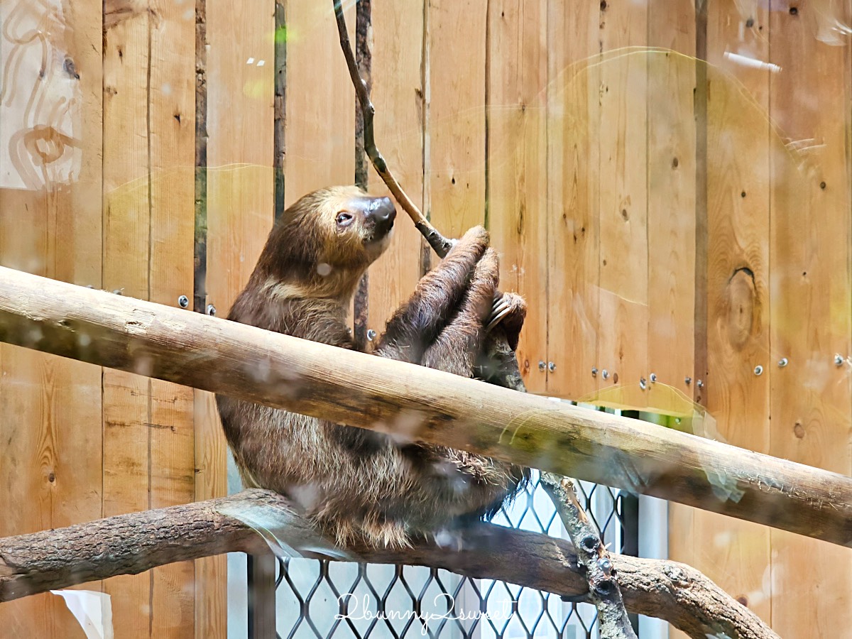 宜蘭景點【蘭陽動植物王國】超越動物園的宜蘭動物農場!! 室內吹冷氣餵動物有夠爽 @兔兒毛毛姊妹花