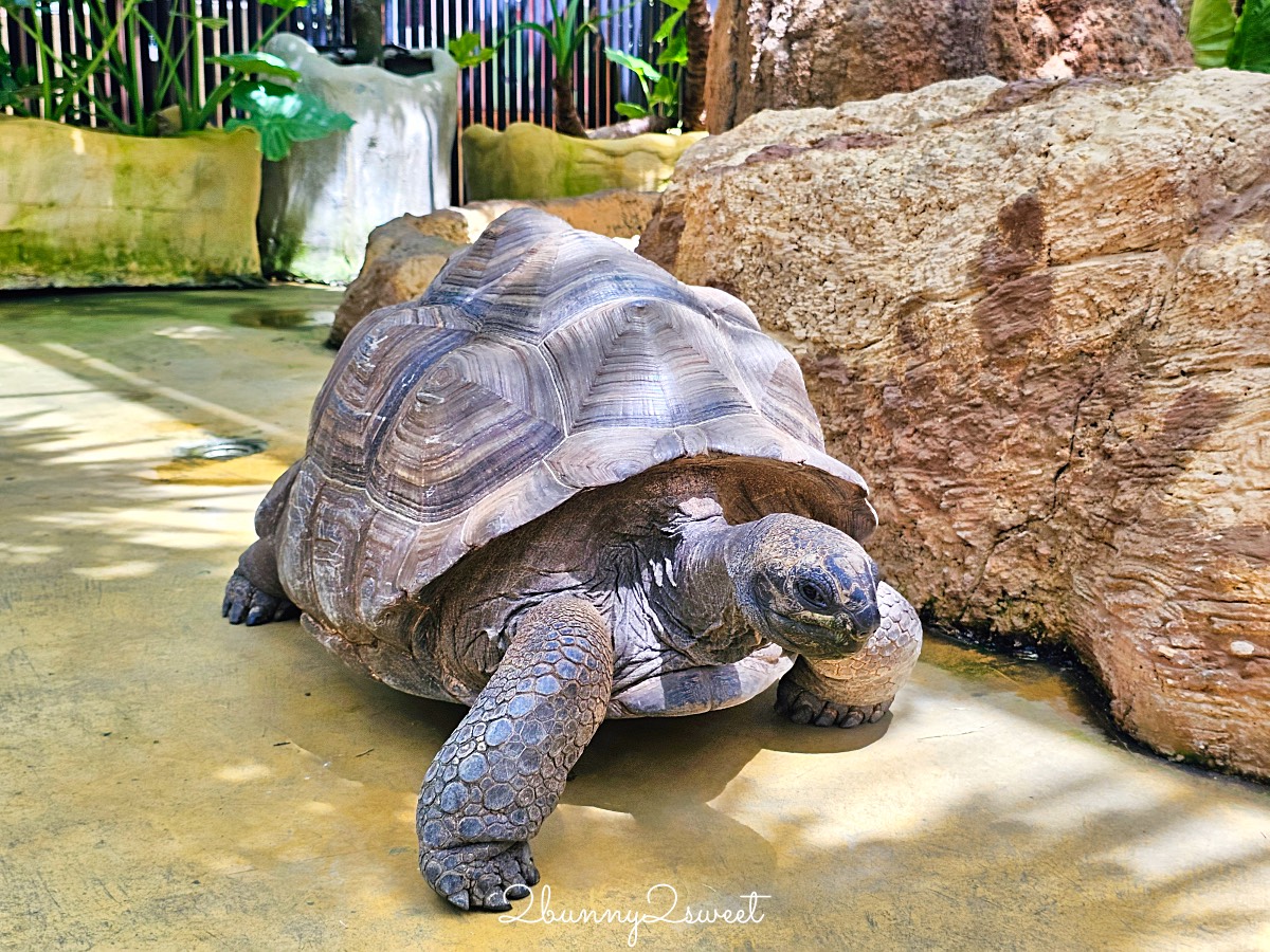宜蘭景點【蘭陽動植物王國】超越動物園的宜蘭動物農場!! 室內吹冷氣餵動物有夠爽 @兔兒毛毛姊妹花