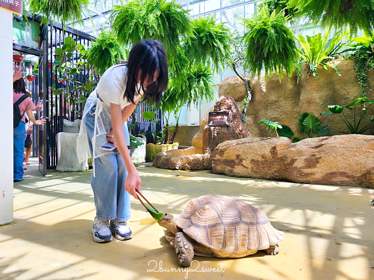 宜蘭景點【蘭陽動植物王國】超越動物園的宜蘭動物農場!! 室內吹冷氣餵動物有夠爽 @兔兒毛毛姊妹花