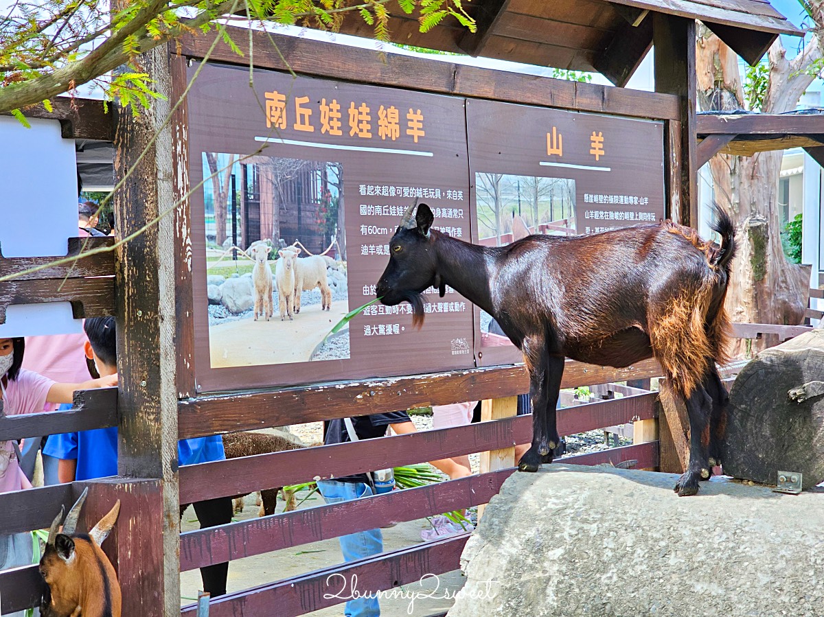 宜蘭景點【蘭陽動植物王國】超越動物園的宜蘭動物農場!! 室內吹冷氣餵動物有夠爽 @兔兒毛毛姊妹花