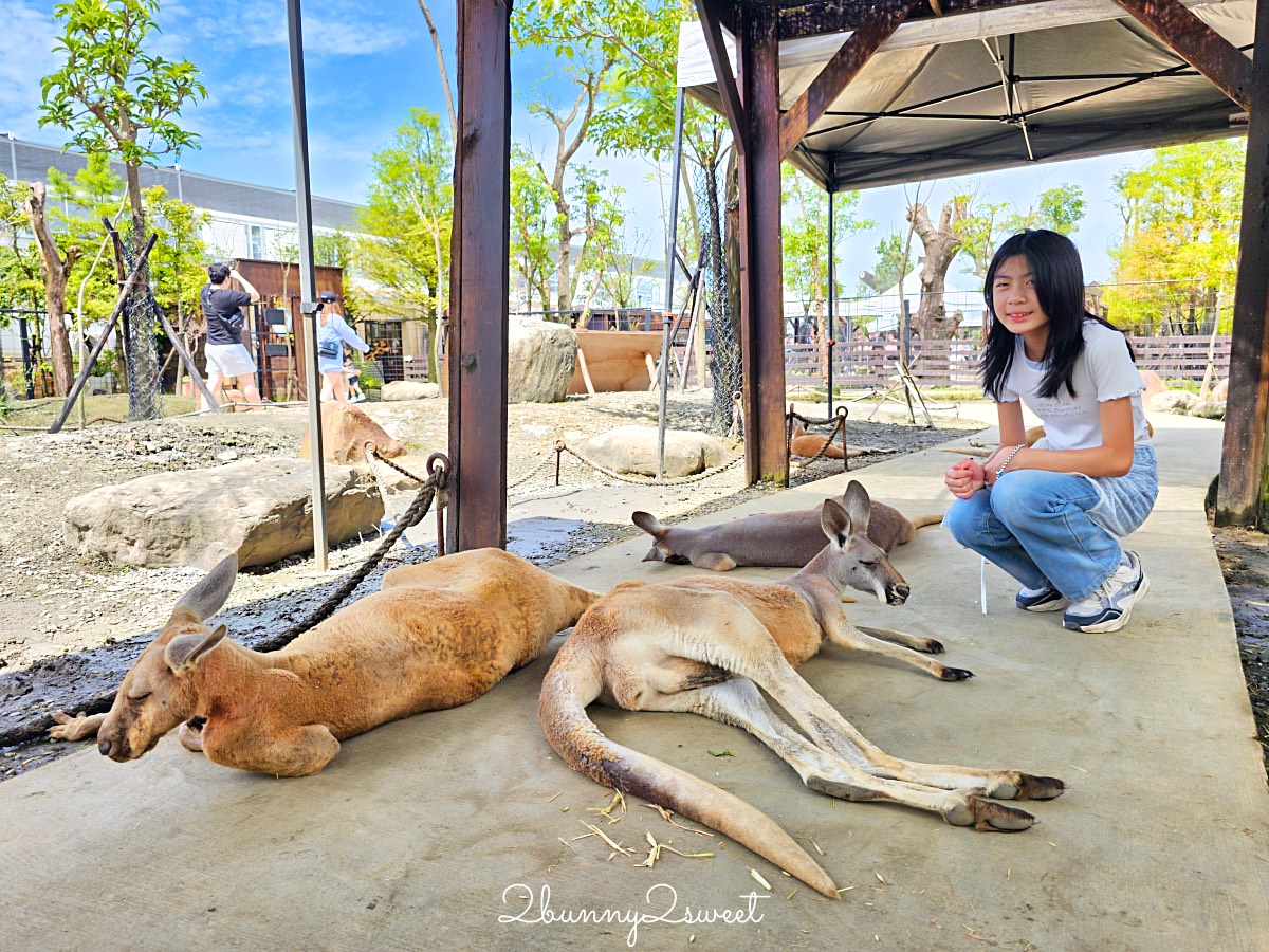 宜蘭景點【蘭陽動植物王國】超越動物園的宜蘭動物農場!! 室內吹冷氣餵動物有夠爽 @兔兒毛毛姊妹花