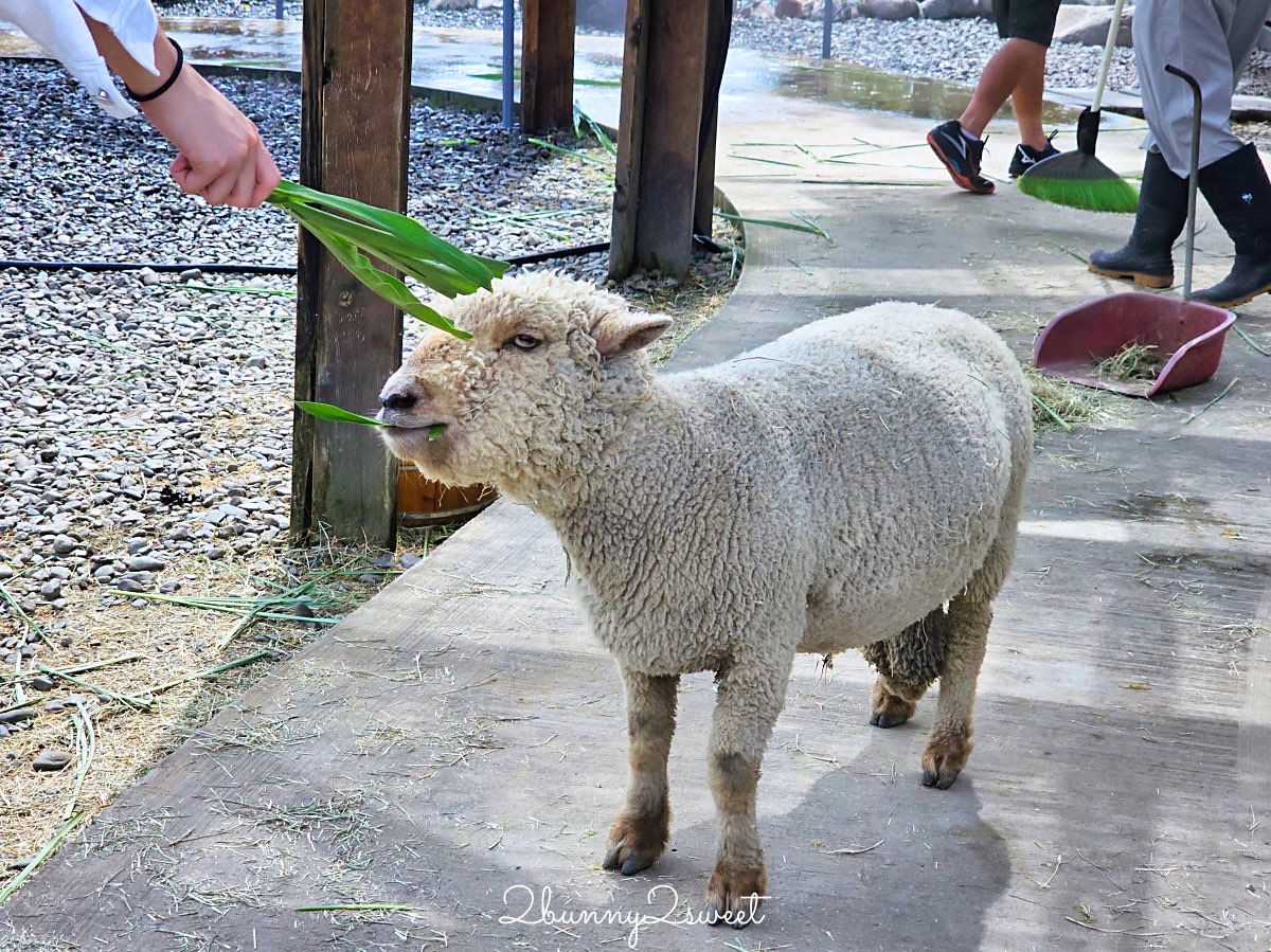 宜蘭景點【蘭陽動植物王國】超越動物園的宜蘭動物農場!! 室內吹冷氣餵動物有夠爽 @兔兒毛毛姊妹花