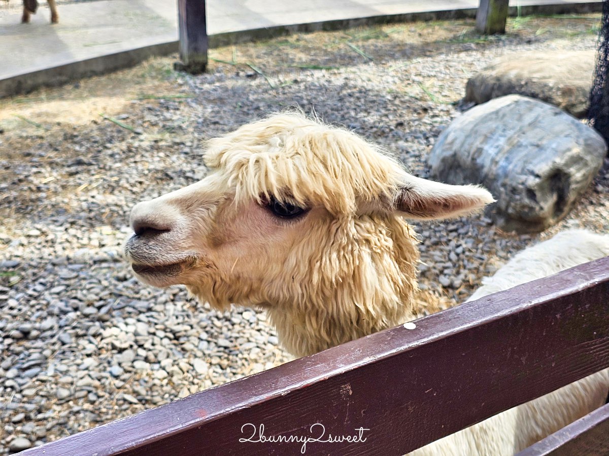 宜蘭景點【蘭陽動植物王國】超越動物園的宜蘭動物農場!! 室內吹冷氣餵動物有夠爽 @兔兒毛毛姊妹花