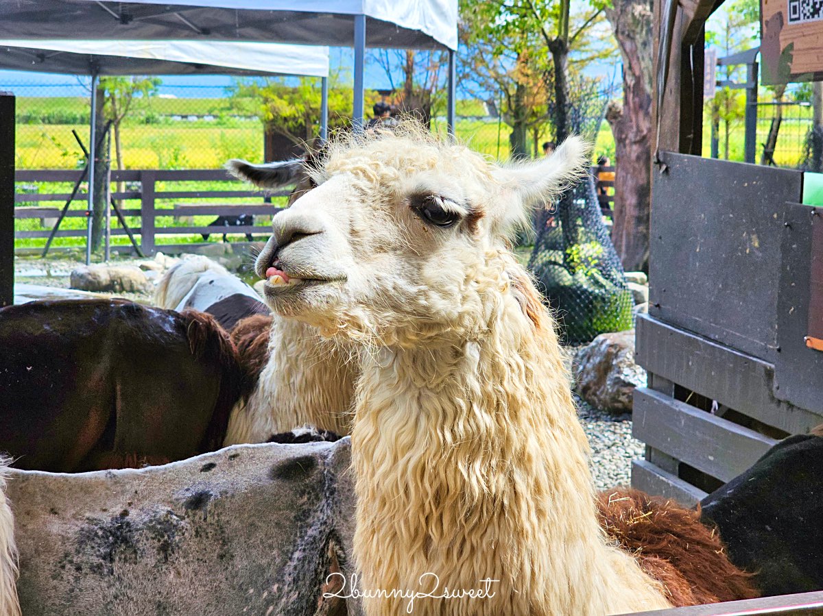 宜蘭景點【蘭陽動植物王國】超越動物園的宜蘭動物農場!! 室內吹冷氣餵動物有夠爽 @兔兒毛毛姊妹花