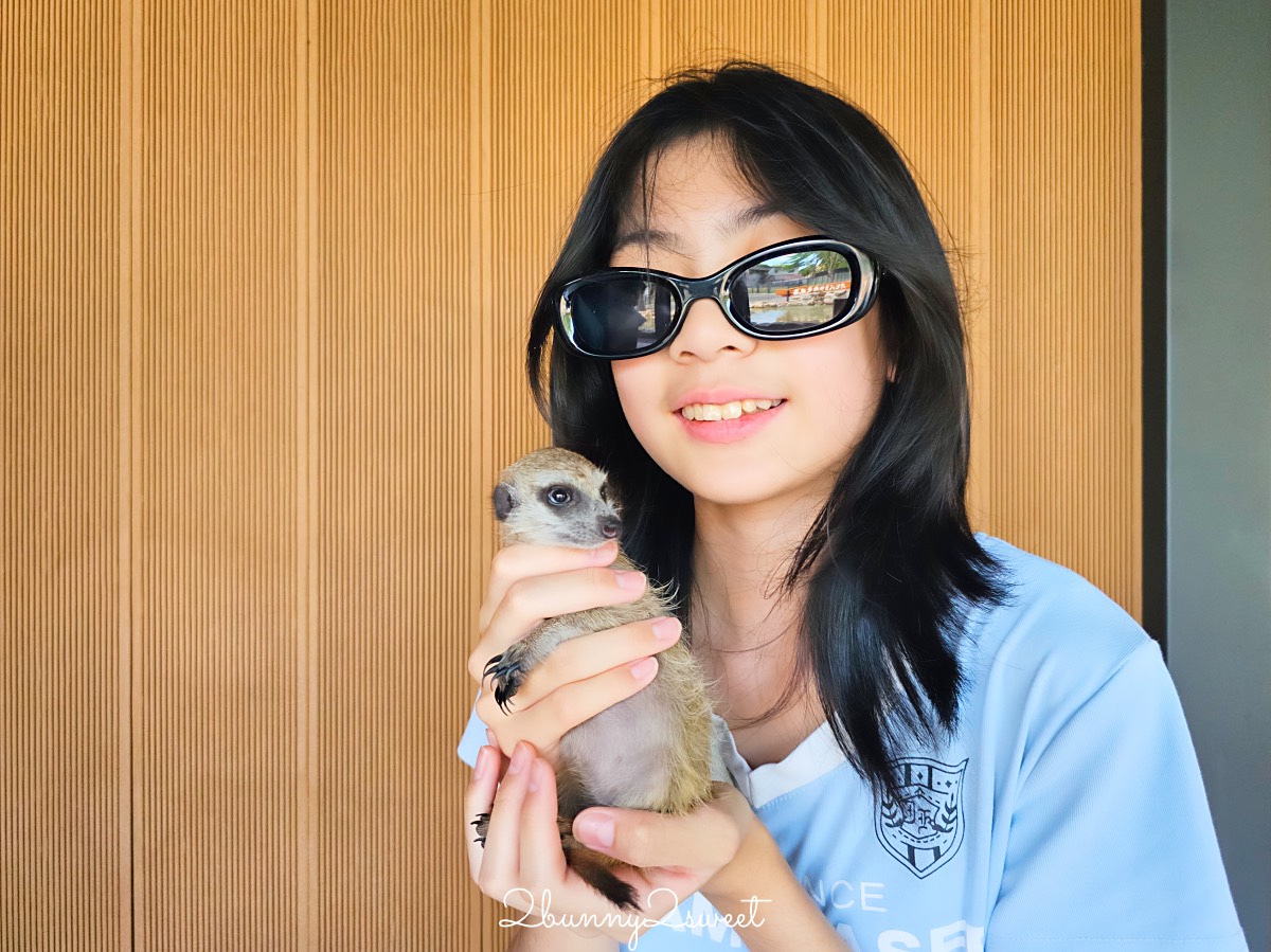 【樹懶餐廳萌寵農場】宜蘭三星全新親子動物農場：DIY教室＋全新遊戲區開放 @兔兒毛毛姊妹花