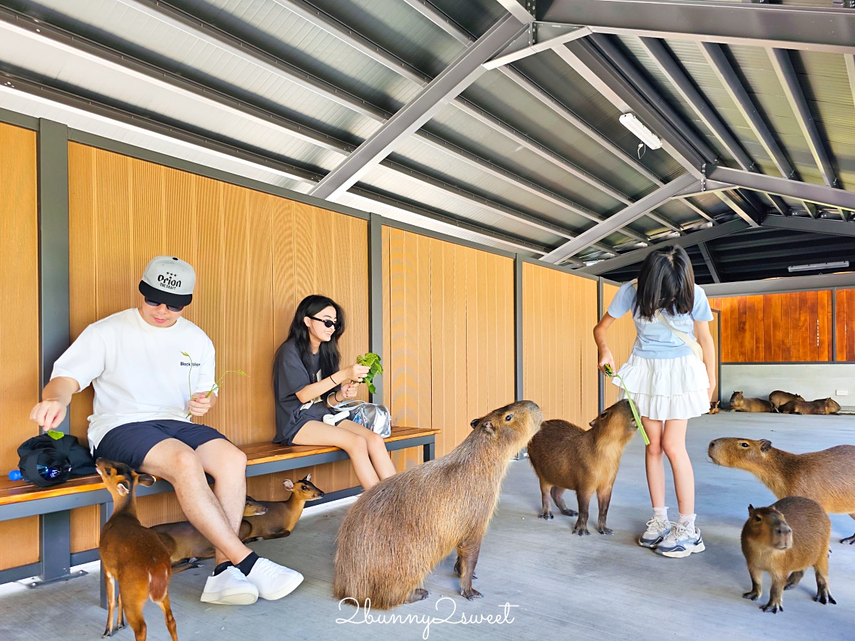 【樹懶餐廳萌寵農場】宜蘭三星全新親子動物農場：DIY教室＋全新遊戲區開放 @兔兒毛毛姊妹花