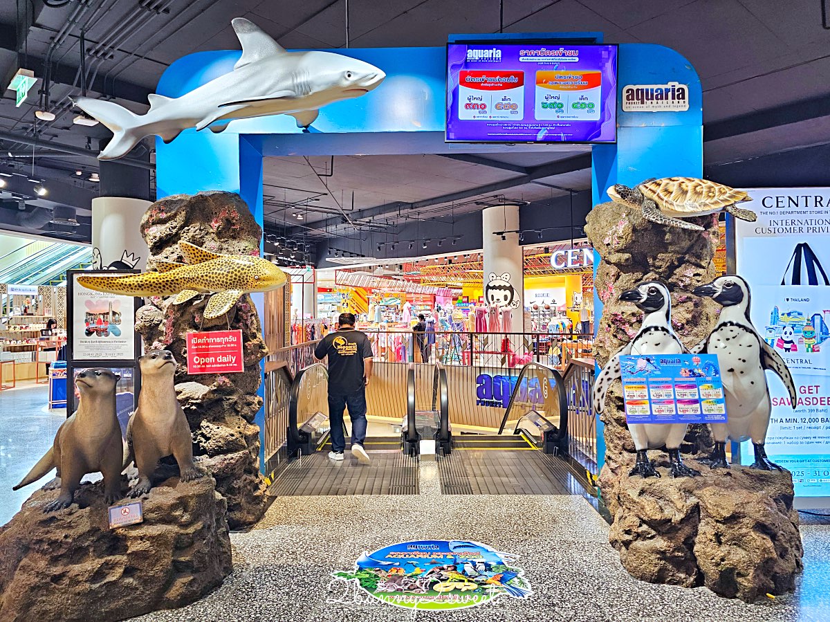 普吉島親子景點推薦｜Aquaria Phuket 普吉水族館全攻略：門票交通、必點亮點一次整理！ @兔兒毛毛姊妹花
