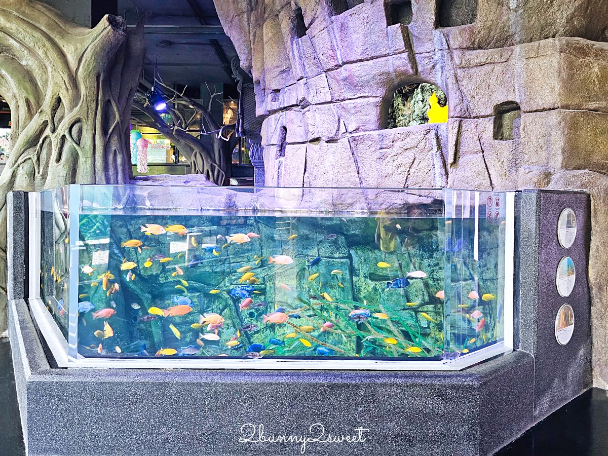 普吉島親子景點推薦｜Aquaria Phuket 普吉水族館全攻略：門票交通、必點亮點一次整理！ @兔兒毛毛姊妹花