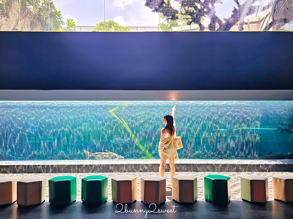 普吉島親子景點推薦｜Aquaria Phuket 普吉水族館全攻略：門票交通、必點亮點一次整理！ @兔兒毛毛姊妹花