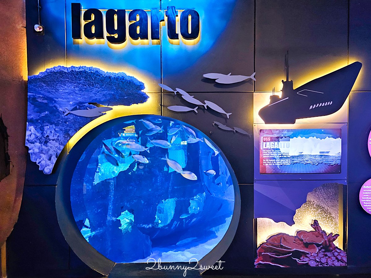 普吉島親子景點推薦｜Aquaria Phuket 普吉水族館全攻略：門票交通、必點亮點一次整理！ @兔兒毛毛姊妹花