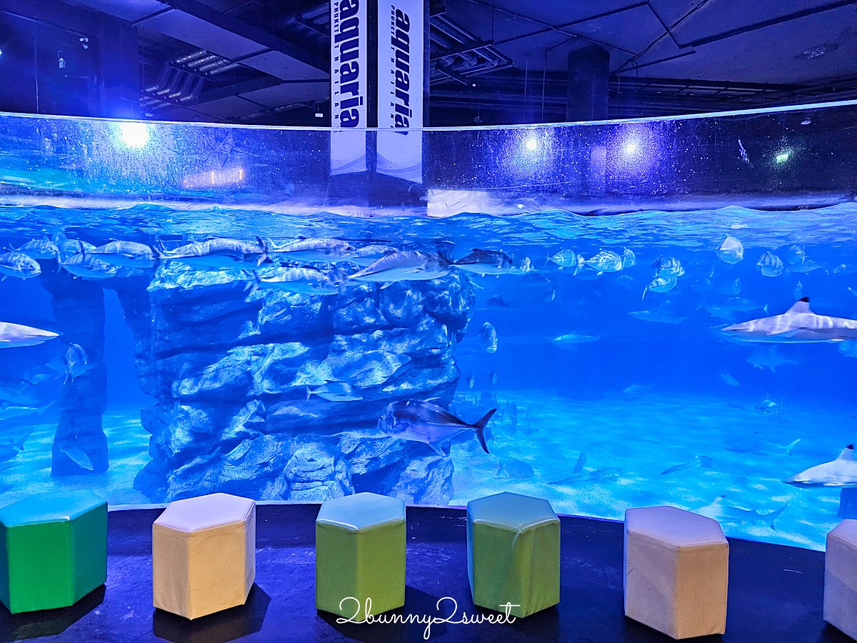 普吉島親子景點推薦｜Aquaria Phuket 普吉水族館全攻略：門票交通、必點亮點一次整理！ @兔兒毛毛姊妹花