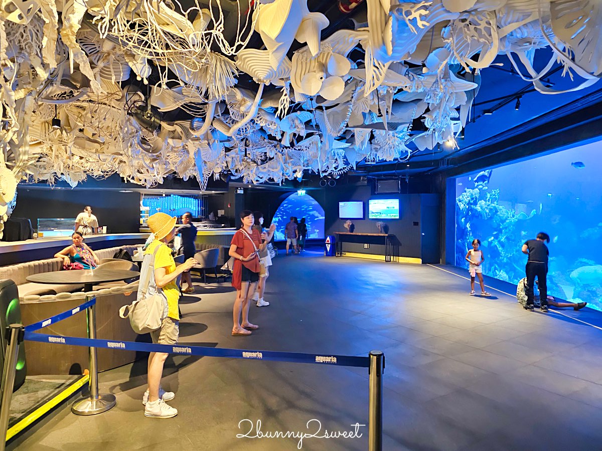 普吉島親子景點推薦｜Aquaria Phuket 普吉水族館全攻略：門票交通、必點亮點一次整理！ @兔兒毛毛姊妹花