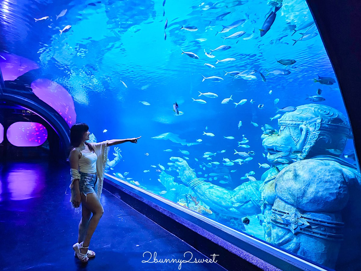 普吉島親子景點推薦｜Aquaria Phuket 普吉水族館全攻略：門票交通、必點亮點一次整理！ @兔兒毛毛姊妹花
