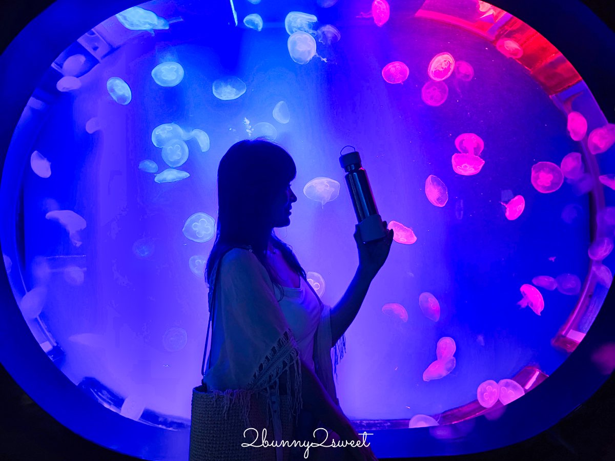 普吉島親子景點推薦｜Aquaria Phuket 普吉水族館全攻略：門票交通、必點亮點一次整理！ @兔兒毛毛姊妹花