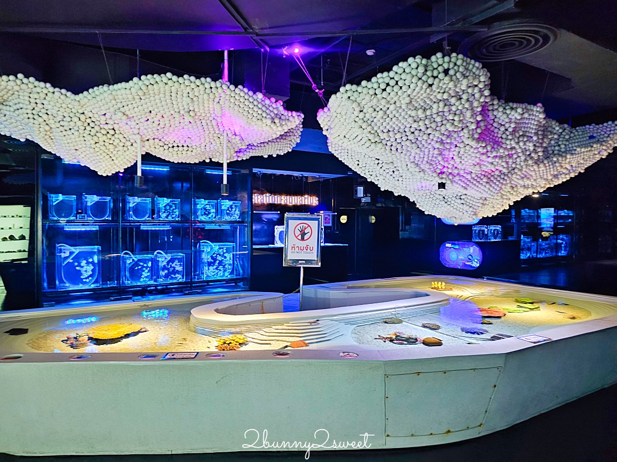 普吉島親子景點推薦｜Aquaria Phuket 普吉水族館全攻略：門票交通、必點亮點一次整理！ @兔兒毛毛姊妹花