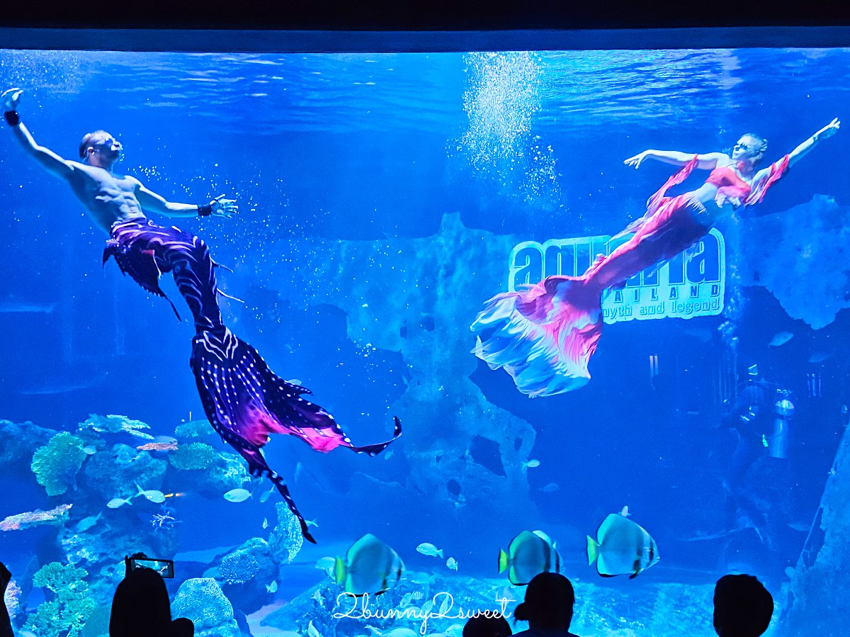普吉島親子景點推薦｜Aquaria Phuket 普吉水族館全攻略：門票交通、必點亮點一次整理！ @兔兒毛毛姊妹花