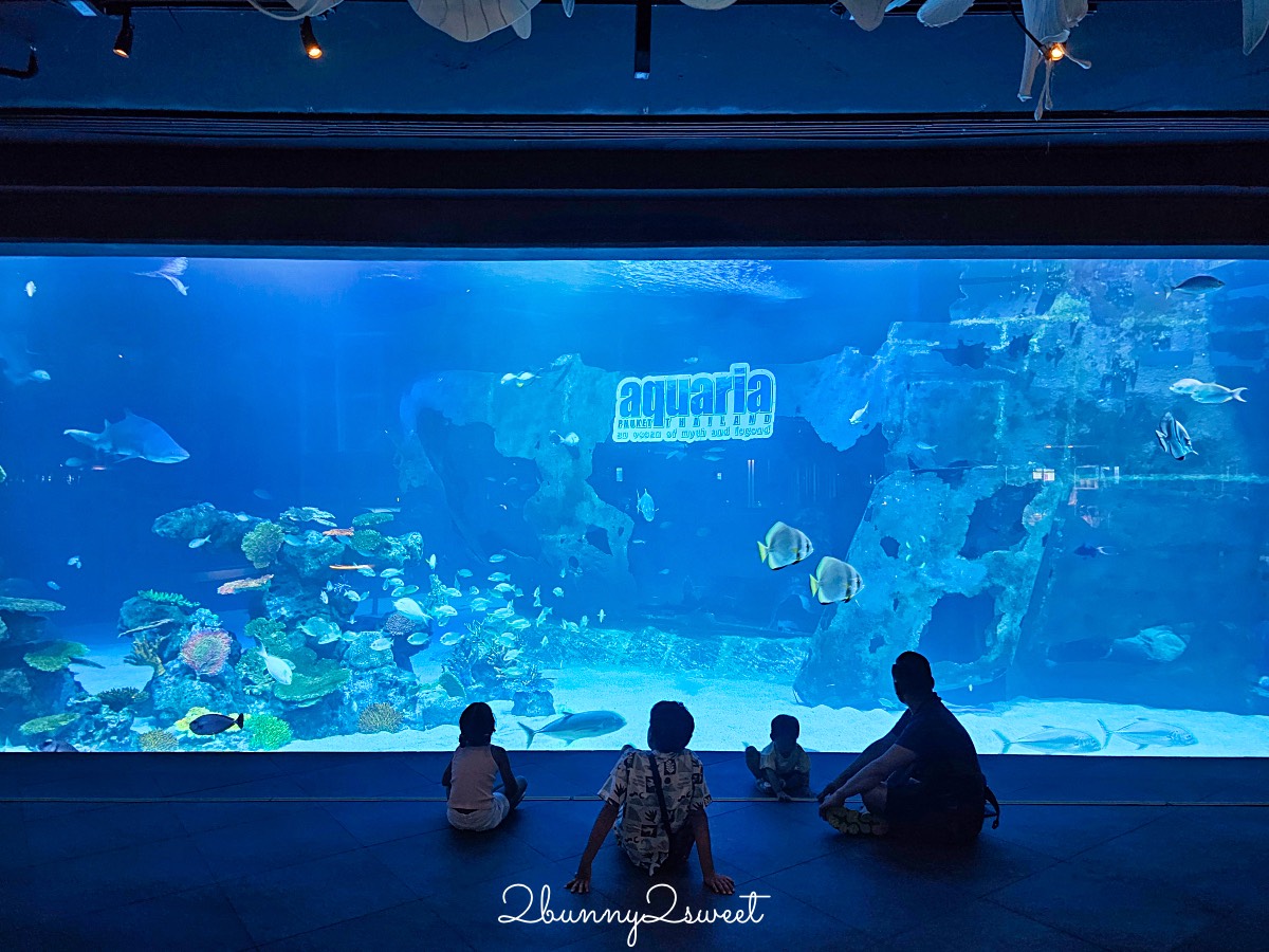 普吉島親子景點推薦｜Aquaria Phuket 普吉水族館全攻略：門票交通、必點亮點一次整理！ @兔兒毛毛姊妹花