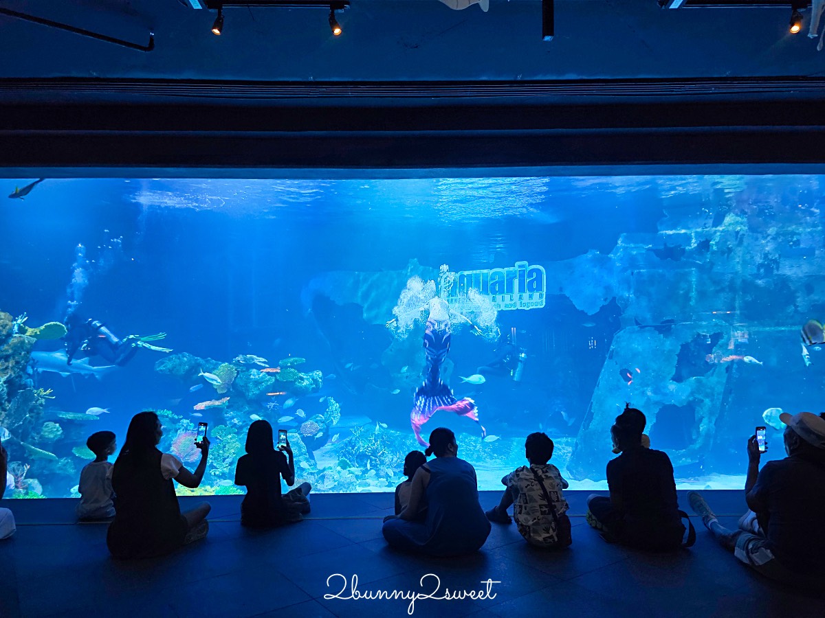 普吉島親子景點推薦｜Aquaria Phuket 普吉水族館全攻略：門票交通、必點亮點一次整理！ @兔兒毛毛姊妹花
