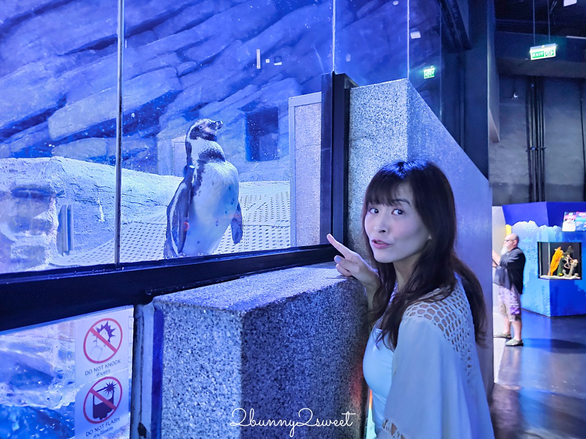 普吉島親子景點推薦｜Aquaria Phuket 普吉水族館全攻略：門票交通、必點亮點一次整理！ @兔兒毛毛姊妹花