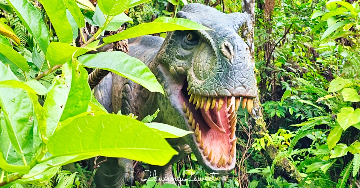 【名護自然動植物公園 Neo Park Okinawa】沖繩親子景點～動物互動、小火車、生態園區全攻略 @兔兒毛毛姊妹花