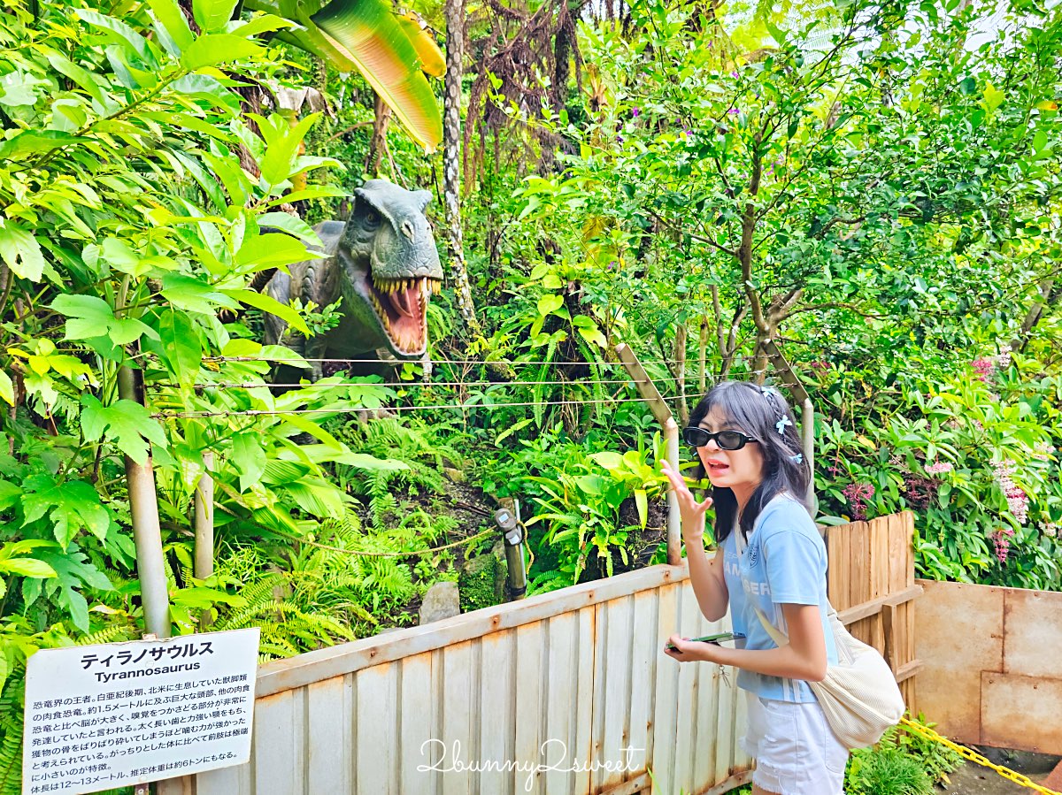 沖繩名護【DINO恐龍公園】完整攻略：交通、門票、園區介紹與旅遊心得 @兔兒毛毛姊妹花