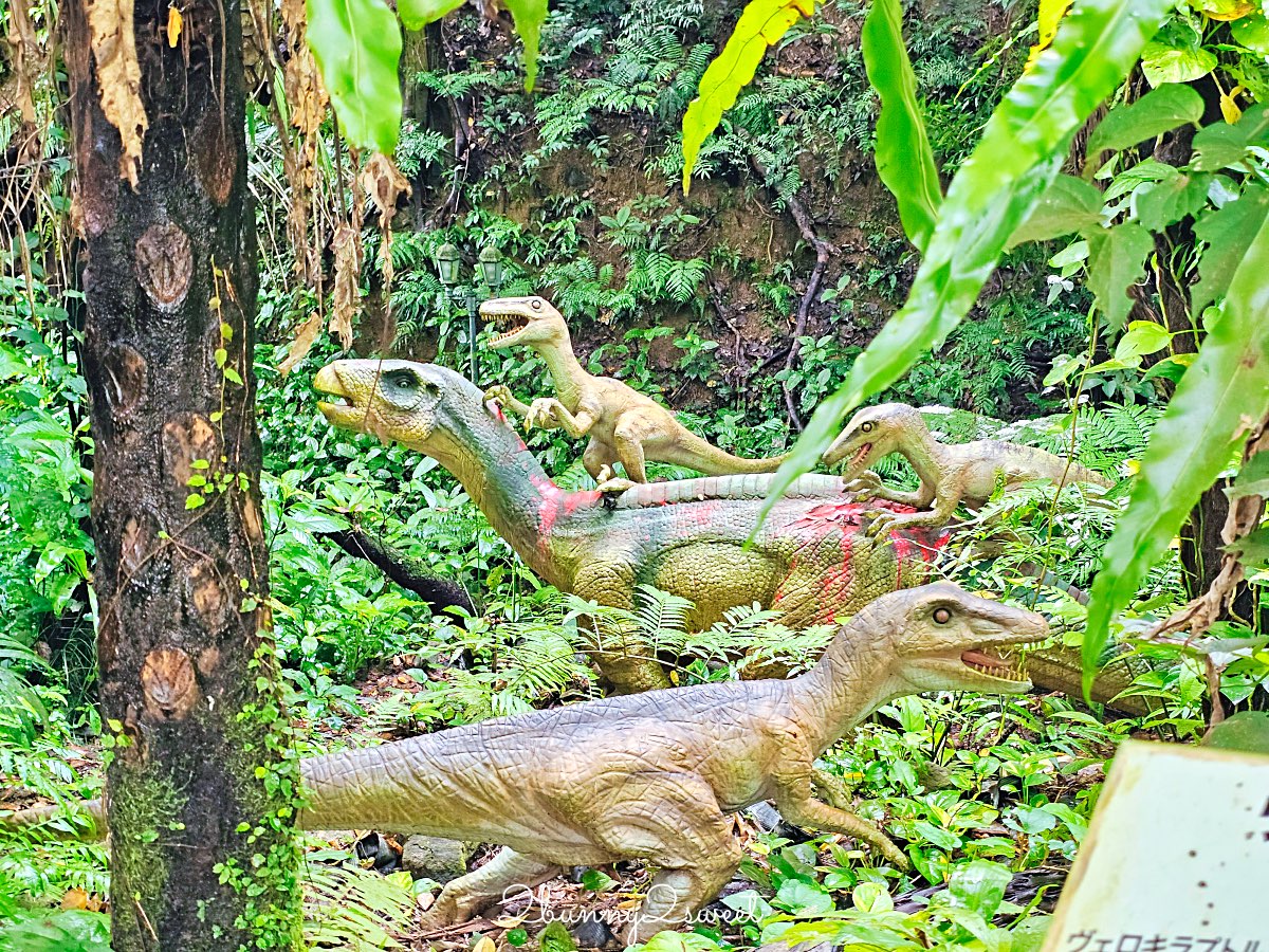 沖繩名護【DINO恐龍公園】完整攻略：交通、門票、園區介紹與旅遊心得 @兔兒毛毛姊妹花