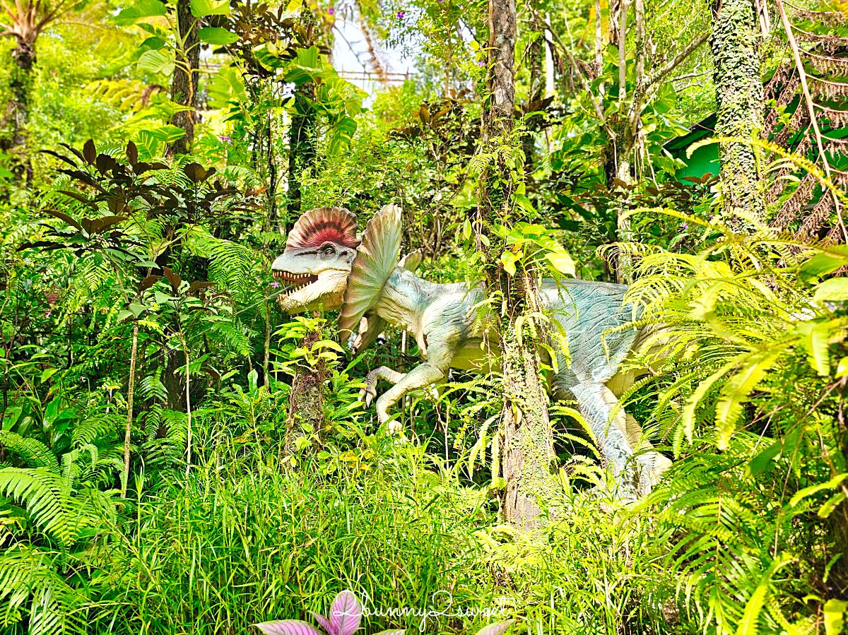 沖繩名護【DINO恐龍公園】完整攻略：交通、門票、園區介紹與旅遊心得 @兔兒毛毛姊妹花