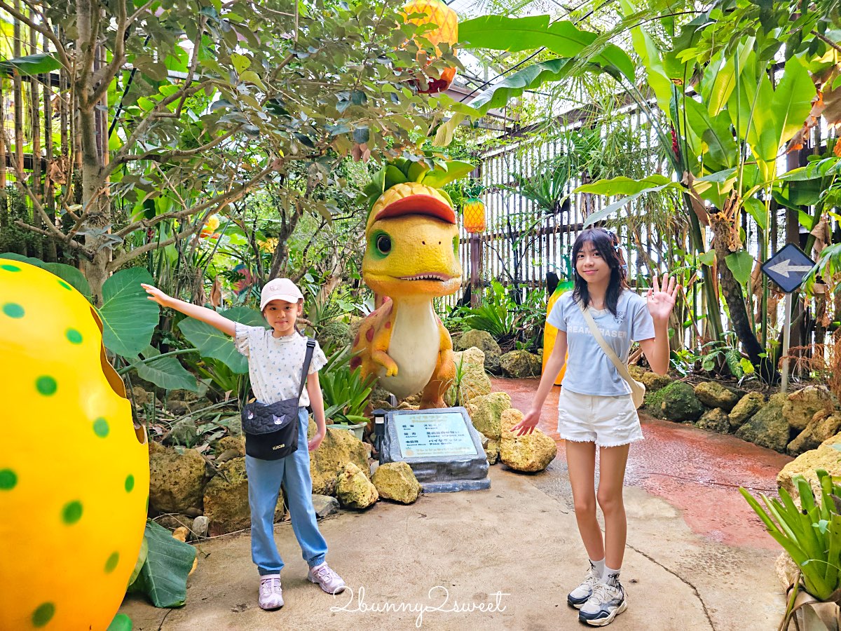 沖繩【名護鳳梨園】搭乘鳳梨車穿梭熱帶果園、恐龍園，必逛鳳梨主題樂園 @兔兒毛毛姊妹花