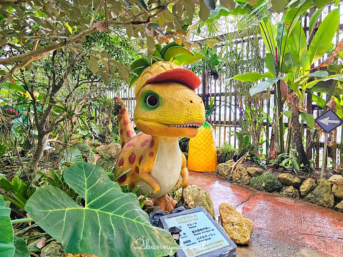 沖繩【名護鳳梨園】搭乘鳳梨車穿梭熱帶果園、恐龍園，必逛鳳梨主題樂園 @兔兒毛毛姊妹花